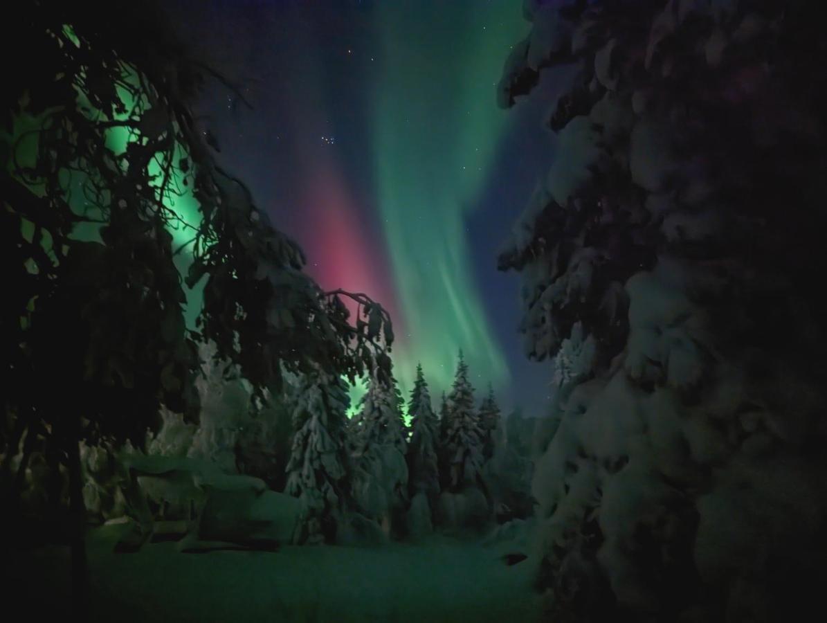 Lapland Snow Cabin Masugnsbyn エクステリア 写真