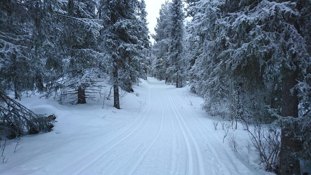 Lapland Snow Cabin Masugnsbyn エクステリア 写真