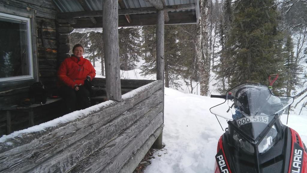 Lapland Snow Cabin Masugnsbyn エクステリア 写真