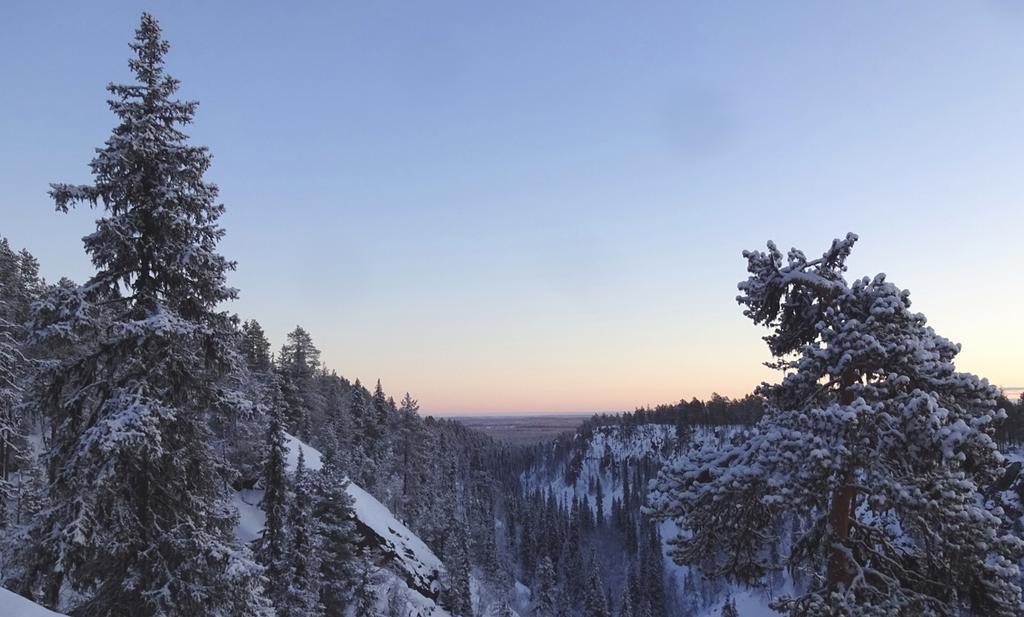 Lapland Snow Cabin Masugnsbyn エクステリア 写真