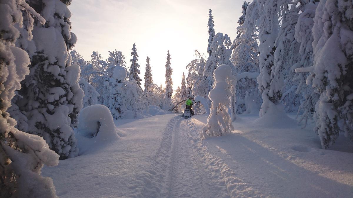 Lapland Snow Cabin Masugnsbyn エクステリア 写真